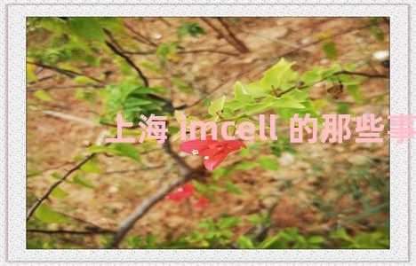 上海 imcell 的那些事